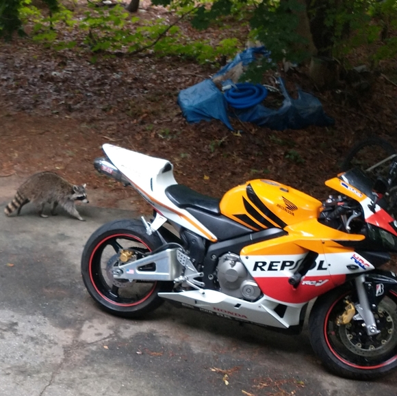 Meet your Posher, Kristyn ๐ ๐๐ผโโ๏ธ๐๐ซฃ๐ - Picture 2 of 12